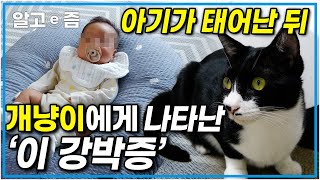 집사는 24시간 육아전쟁 중! 사람 좋아하는 개냥이, 아기가 태어난 뒤 보이는 이상행동..? 강박증이라는 충격적 진단받은 고양이┃고양이를 부탁해┃알고e즘