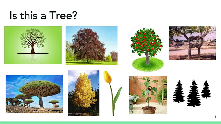 Explainable AI, Session 2: Why Do We Need Machine Learning Explanations