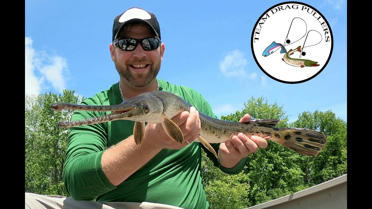 Gar Fishing - Longnose Gar, Ottawa River - June 2019 - YouTube