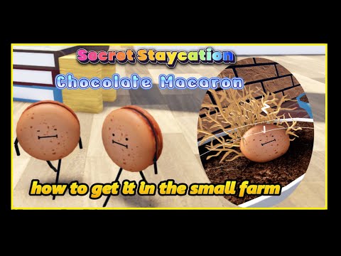 Roblox:'Secret Staycation' CHOCOLATE