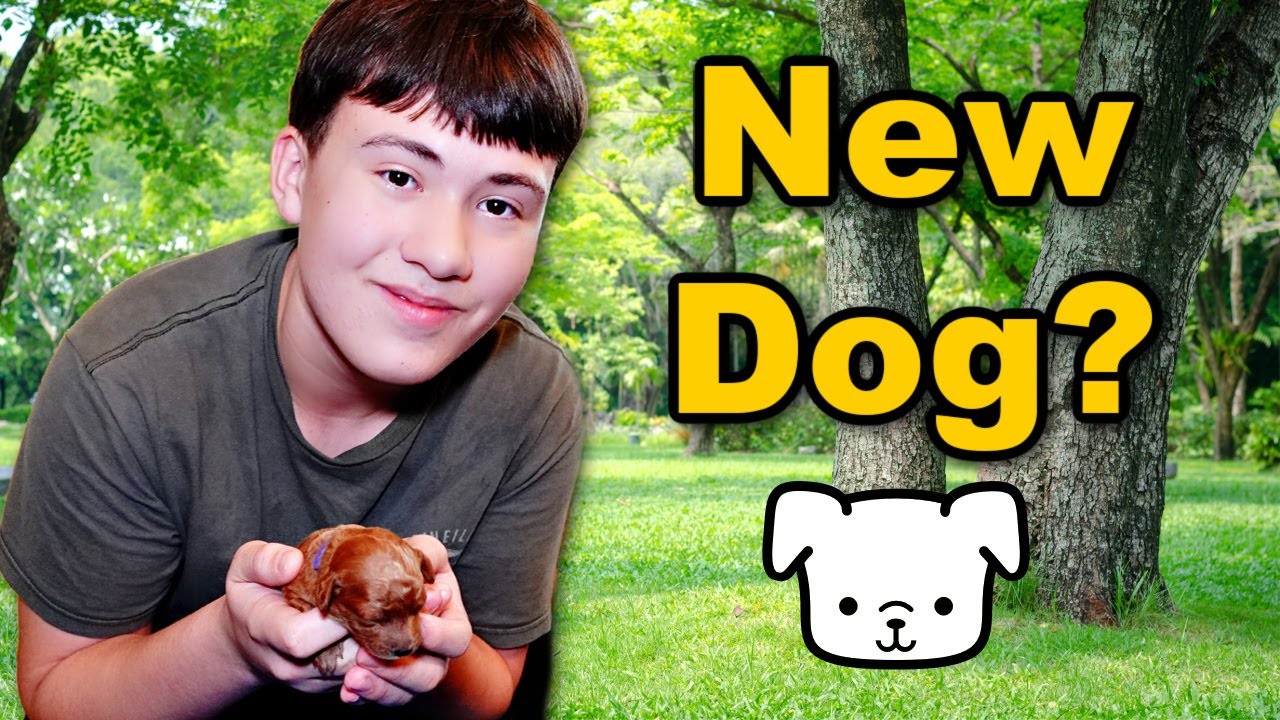 New Dog! | It's His Turn!