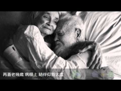 床頭床尾 LIVE HD  (by MJChan)