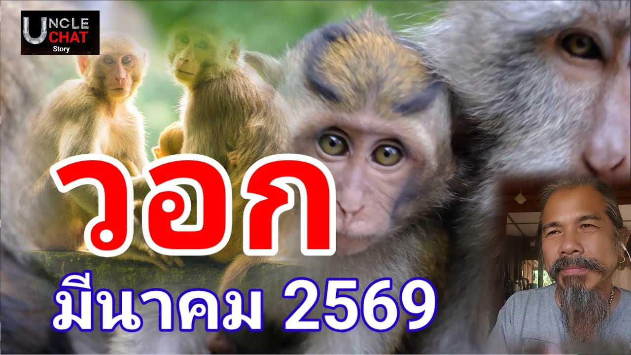 เดือดร้อนเพราะลูกน้อง!คนเกิดปีวอก ! ประจำเดือนมีนาคม 2569#ดูดวง @Longchat 