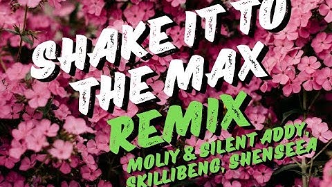 MOLIY & Silent Addy, Skillibeng, Shenseea - SHAKE IT TO THE MAX (REMIX) lyrics video