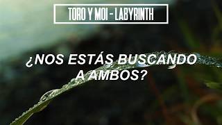 Toro y Moi - Labyrinth (Sub. Español)