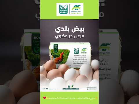 بيض عضوي طازج مرعى حر