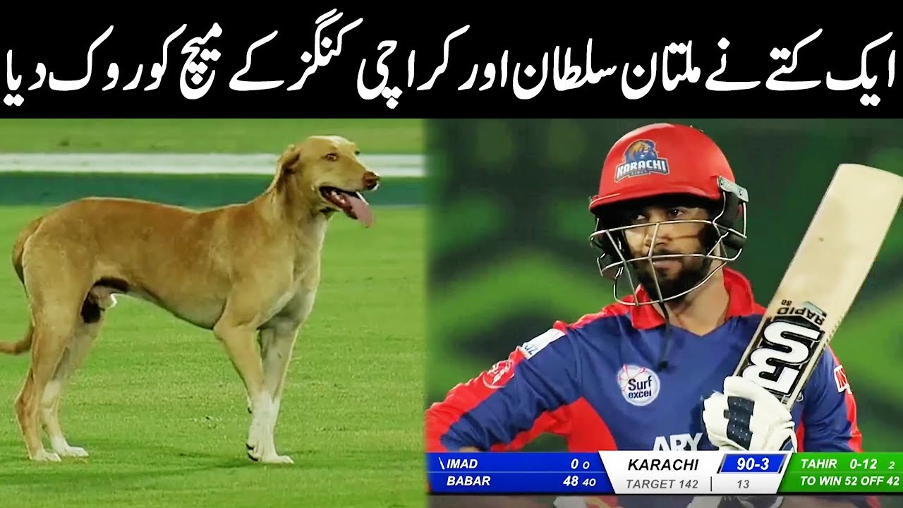 How a dog entered in a bio secure bubble | HBL PSL 2020 | Talk Shows Central | MB2Q