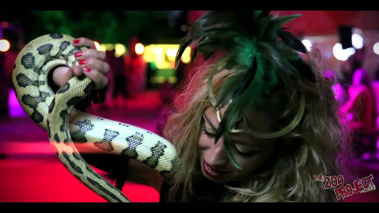 The Zoo Project :: Saturdays In Ibiza :: Positive Vibrations