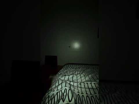 Real Life Horror