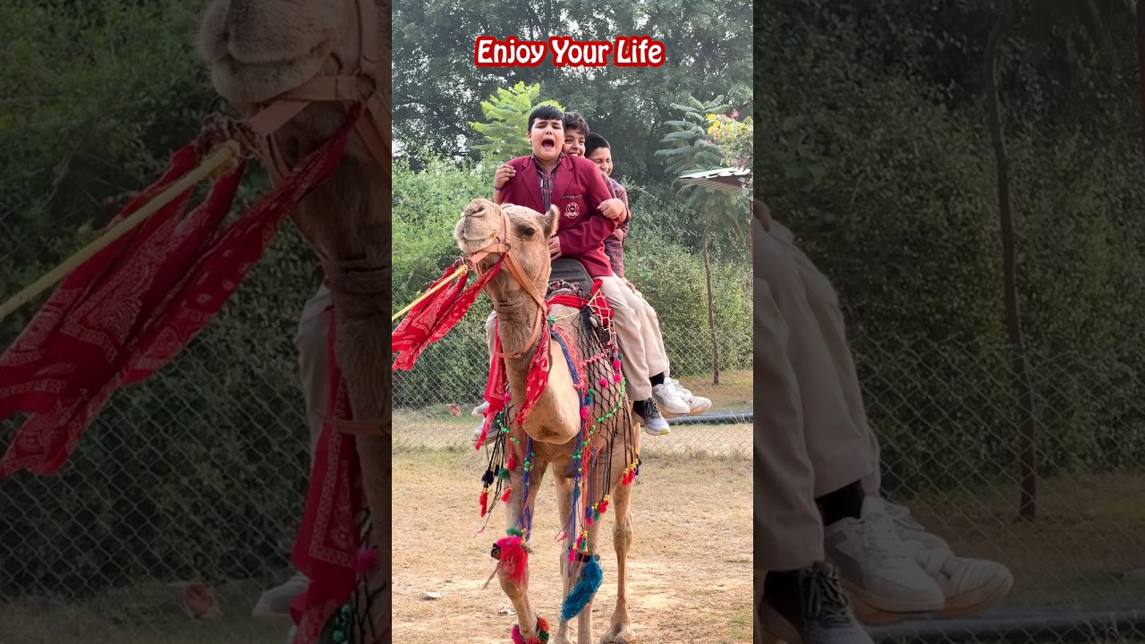 Best place for adventure | Vishalgarh farms Gurugram