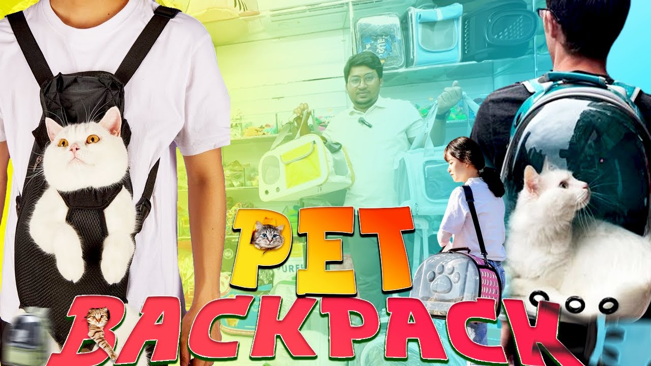 কুকুর ও বিড়ালের ক্যারিয়ার কালেকশন ।। Pet Carrier Bag Price in BD | Best Backpack For Dog & Cat !