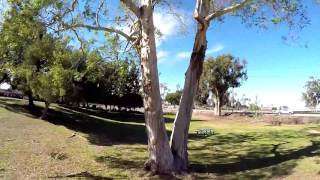 ImmersionRC vortex 250 pro tree gap park