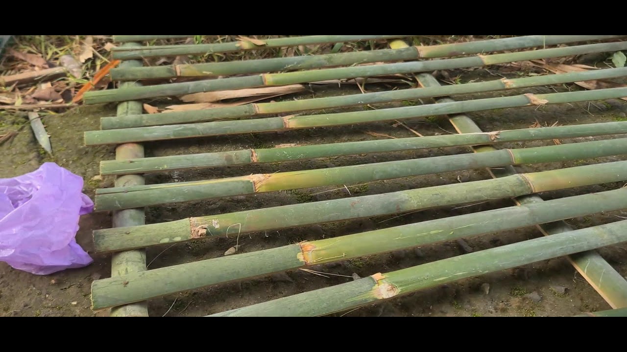 Strong Farmers Building Farm Fences by Hand 
