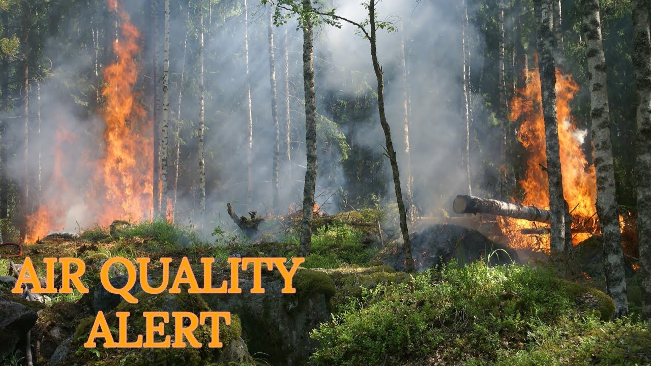 あなたの近く（またはどこでも）の空気の質をチェックする方法