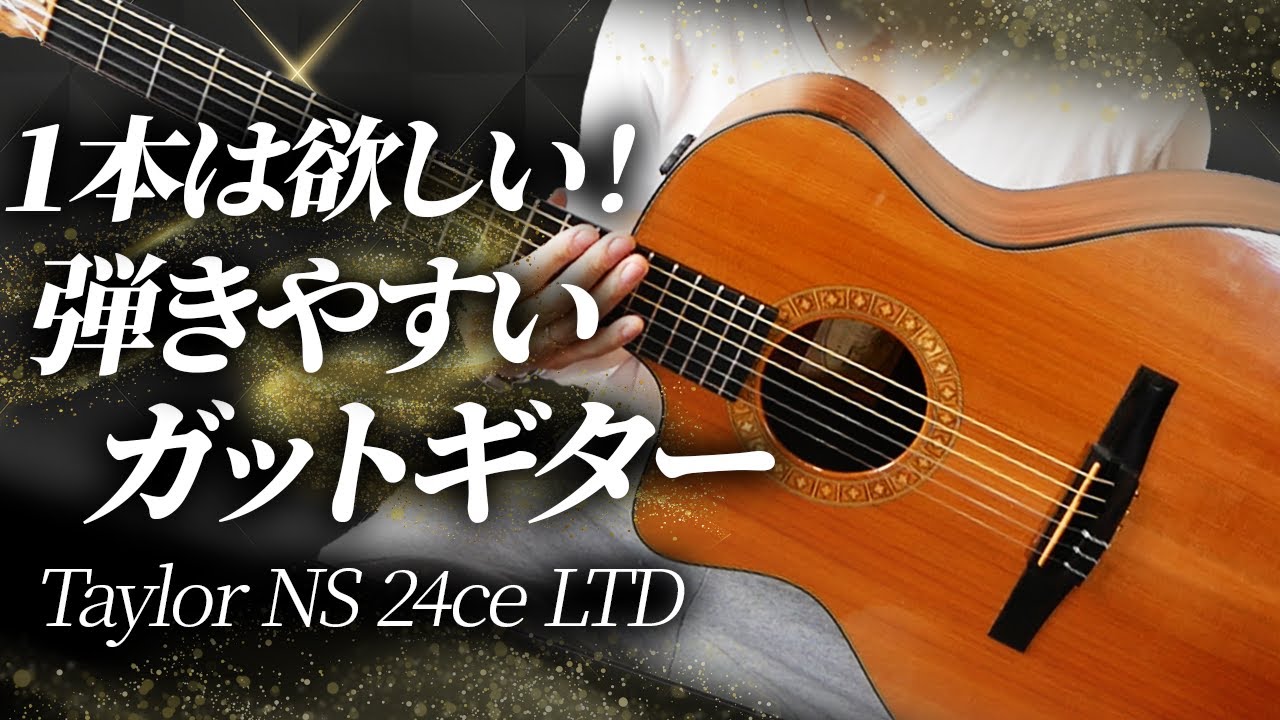 1本は欲しい！ガットギターはこのテイラーで決まり(Taylor NS 24ce 