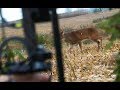 On the Ground Whitetail Slo-Mo arrow Impact SLOCK