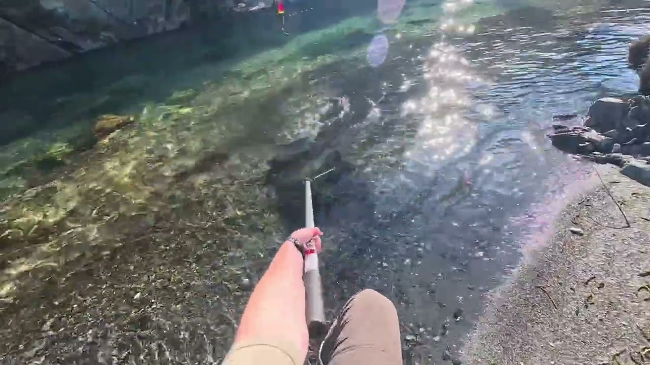 I thought this chrome winter Steelhead spit the hook!