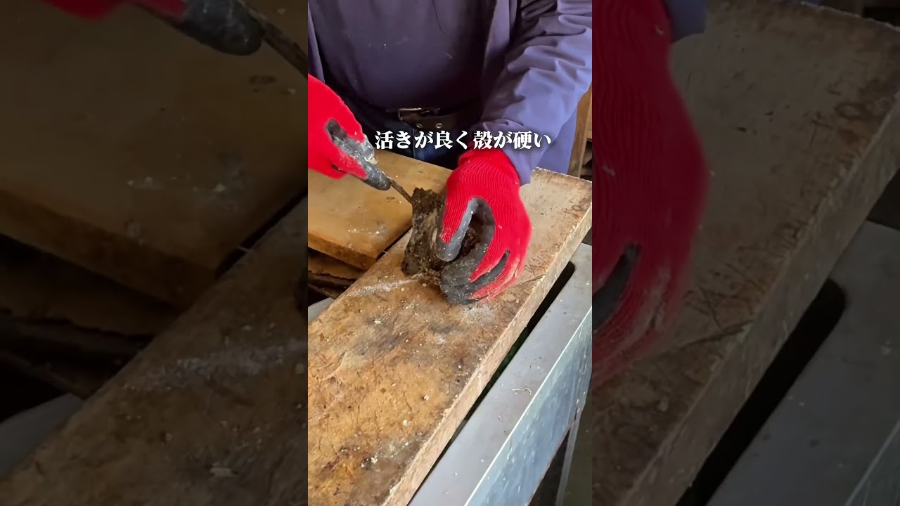 流石に気付けない、、、