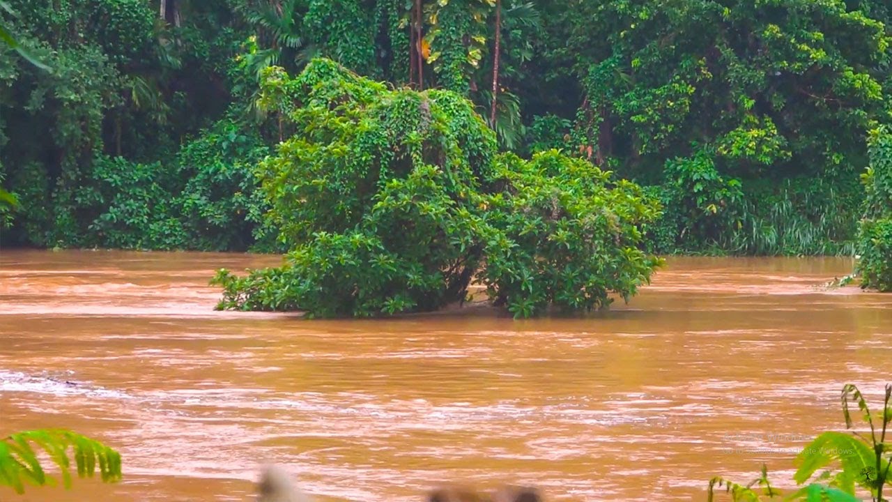 How the River Water Level Changes In Monsoon Season YouTube