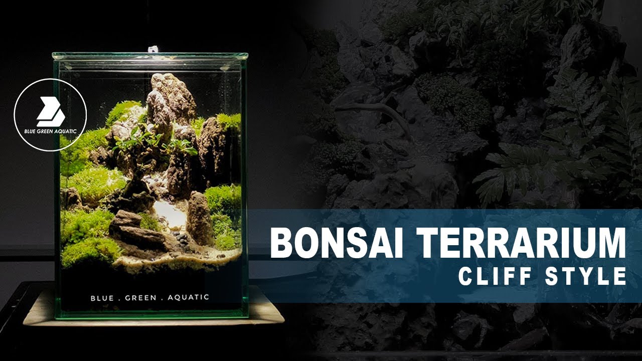 #50 - Bonsai Terrarium 'Cliff Style' | Set Up
