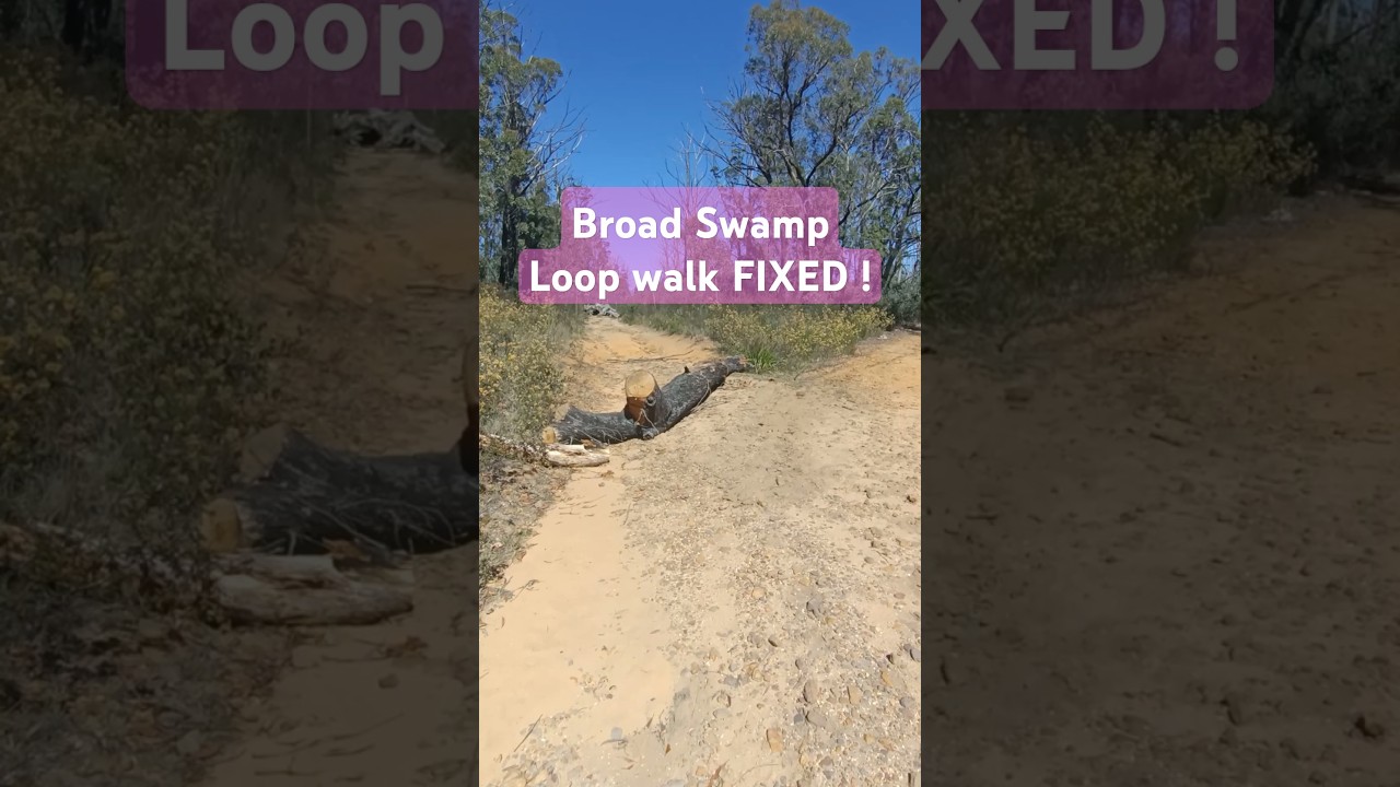 Прогулка по Брод-Суомп-Луп фиксированная 