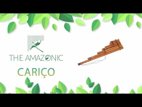 12   Cariáo