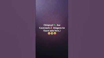 Behenbhai Special#rakhispecial #bhaibehancomedy#rakshabandhanspecial#bhaibahankapyaar@Shittu_Manu