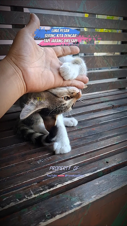 Download lagu Renungan‼️Lima Pesan ini Sering Kita Dengar||Tapi Jarang di Resapi💞 #short