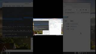 Programming deno vite lit hello world