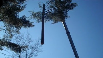 Tree Removal With Crane: Part 2 - Nashua NH