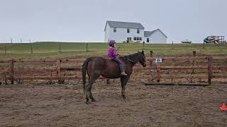 ruby offenbenberger class 44 bareback walk trot Jan 29