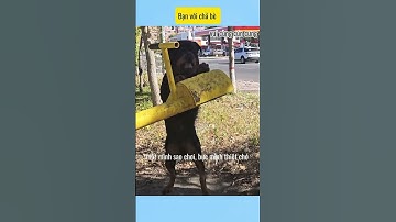 Bạn với chả bè # vui cùng cún cưng