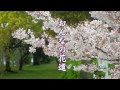 おんなの花道 神城早苗