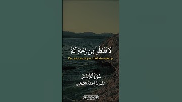 من سورة الزمر || القارئ أحمد العجمي |