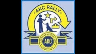 Nigel Virtual Rally Novice Course 3