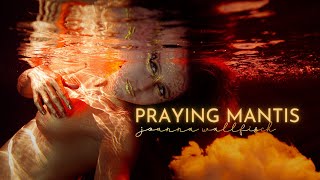 Praying Mantis - Official Music Video