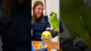 Der süßeste Keks-Dieb der Welt! 🍪🦜