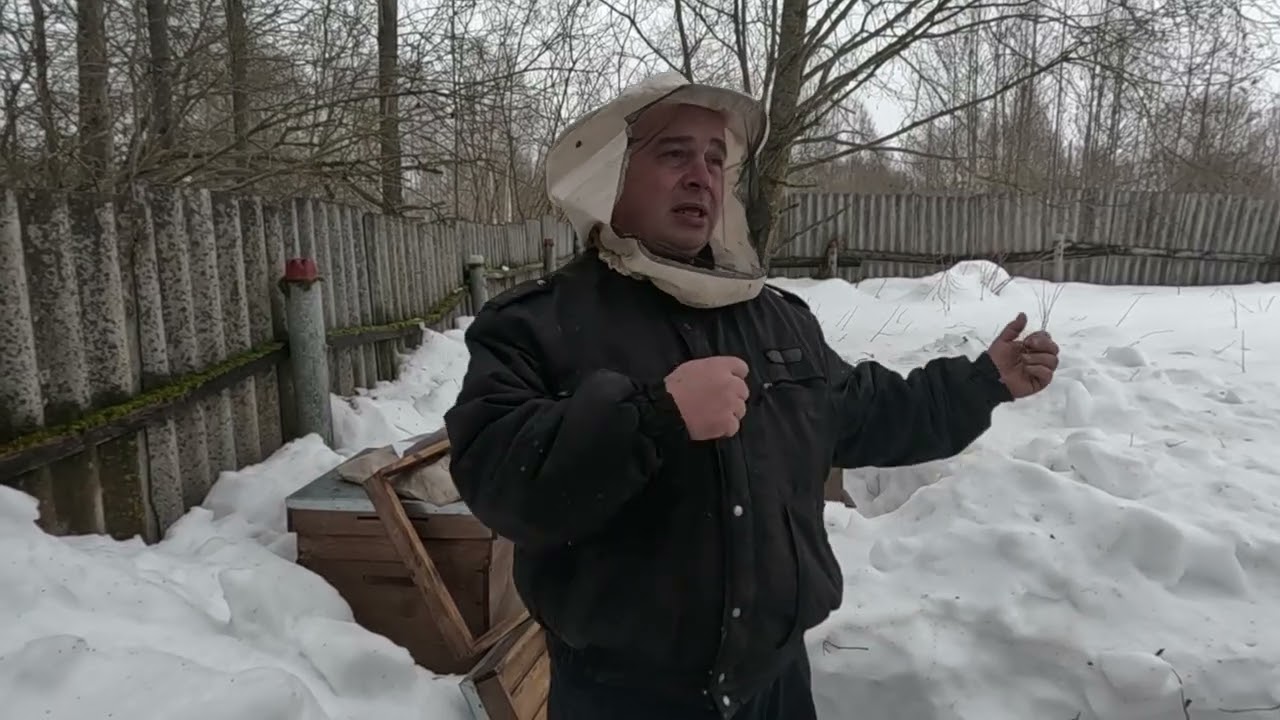 Срочный осмотр пчёл по силе семьи  и кормам!