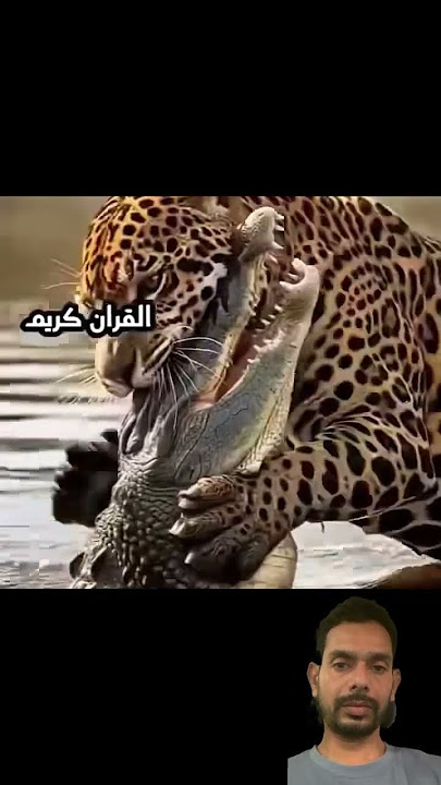 Surah Al Asr  ! Beautiful Reciation Egzani Ibrahimi#quran #quranrecitation #egzonibrahimi #foryou