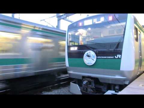デビュー当時の埼京線E233系と通過する埼京線205系