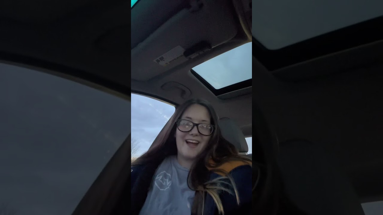 Another Chaotic Food Run