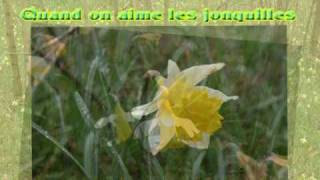 Quand On Aime Les Jonquilles Parodie De Starmania