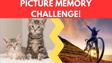 Hard Picture Memory Challenge - Test Your Observation Skills!