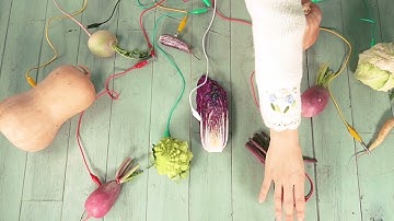 Make an orchestra out of vegetables with Playtronica