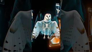 You Won’t Hear This Owl… But It’s Watching You | Part-2