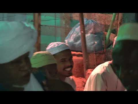 أبناء الشيخ القلوياوي مدحة للنبي الشوق و الغرام ليلة توثيق مديح الشيخ عثمان القلوباوي آل بركات 