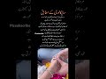 poetry🌹#subscribe🥰#sad😌#deep#love🌹💕💓#viralshorys#shayari✨✨#youtubeshorts