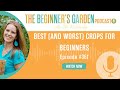 Best and worst crops for beginners
