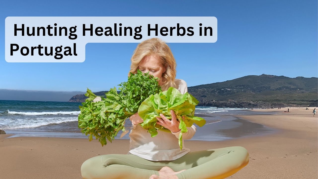 Healing Herbs in Portugal YouTube