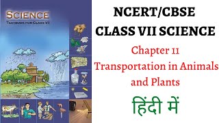 Chapter 11 (Transportation in Animals and Plants) Class 7 SCIENCE NCERT (UPSC/PSC+School Education)